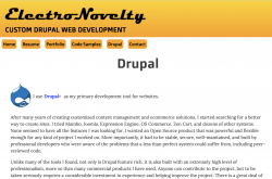 drupal page